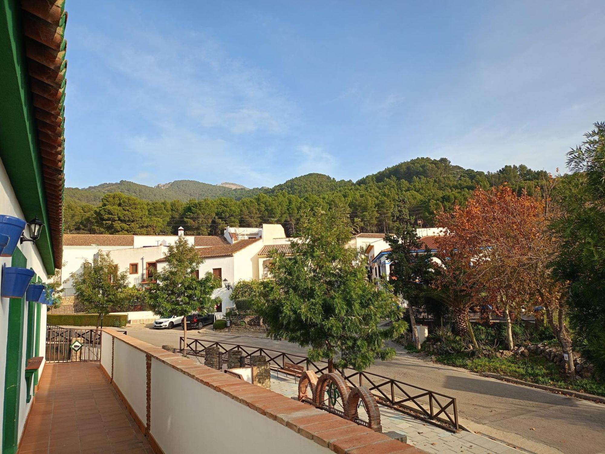 Villa Cultural Montelucia Montecorto Rum bild